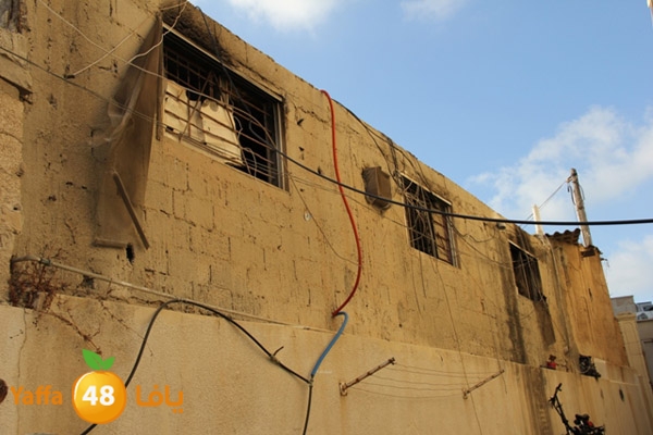 sakis family ard 826 (14).JPG